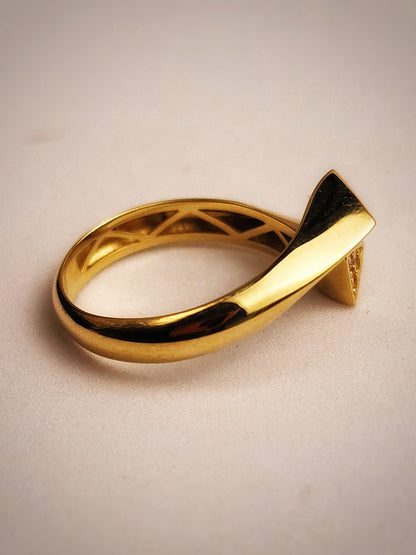 ANILLO TRIANGULOS