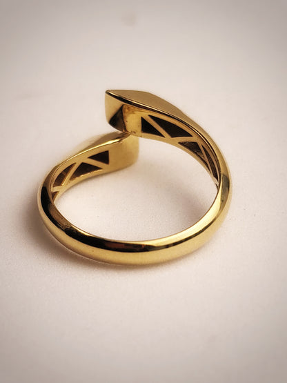 ANILLO TRIANGULOS